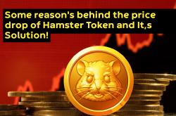 Hamster Token 暴跌：从高潮到低谷，HMSTR 的未来之路