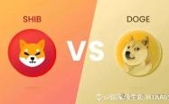 狗狗币(DOGE)和柴犬币(SHIB)价格暴跌：链上数据揭示抛售压力