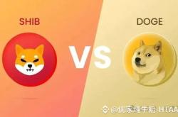 狗狗币(DOGE)和柴犬币(SHIB)价格暴跌：链上数据揭示抛售压力